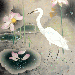 Tessho Hanaoka Gallery